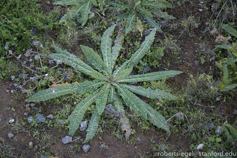 emily renzel wetlands